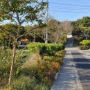 삼월리 경로당 이미지