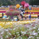 따뜻한 손뜨개 이미지