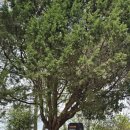 영원암샘 이미지