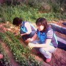 장복농장 이미지