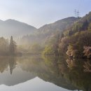화순라이프 이미지