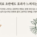 최씨고집 이미지