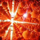 우미쁘띠린공인중개사사무소 이미지