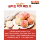 마도카 | [공지] [수확 공지] 아삭 쫀득 반딱딱이 마도카 네이버 스마트 스토어&amp;현장 판매 시작
