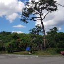 판교골프연습장 이미지