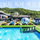 가평가보자독채애견풀빌라수영장 이미지