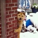 삼성동-36 이미지