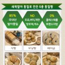 더아름다운세상 이미지