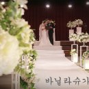 슈가파티 이미지