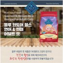블루버니 이미지