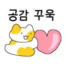박씨뎐