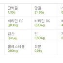 솔그린 이미지