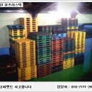 윤 파렛트