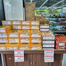 시청중심로 네이버블로그