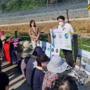 연정2리 이미지