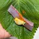 창녕정기시장 | 부산중구회포장맛집 찾다가 자갈치시장회센터 창녕상회로 다녀왔어요