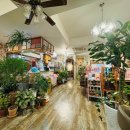 우리꽃집&카페 이미지