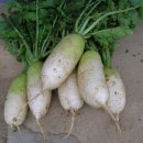 한식조리사 자격증 이미지