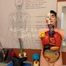 몸편한세상 - 여수시 쌍봉로 46-1 | 세종 나성동 마사지 추천｜몸편한세상 목·어깨 집중 관리 후기