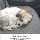 뜻밖의 택시 합승 이미지