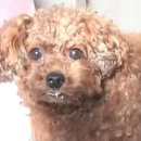 납청유기공방