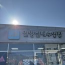 용석 | 2026년 제9회 3.8KM 안양 장거리 수영대회 후기(경기 풀영상 O)