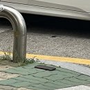 약손건강마사지 후기 (목동 오목교 마사지 추천)