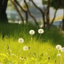 오월약국 이미지