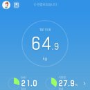 하프컷 복부지방분해주사 맞고 한달 7kg 감량중 강남 신사 비만클리닉 가격 효과 솔직 후기