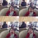 더파구스 이미지