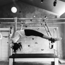 바디라인 이미지