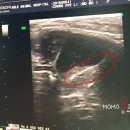 에이블 동물병원 이미지