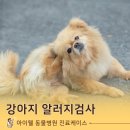 대흥동물병원 이미지