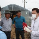 청림동-4 이미지