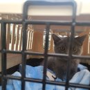 한호동물병원 이미지