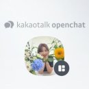 헤어누리 이미지