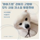 와이즈펫 - 춘천시 춘천로296번길 48 | [와이즈영] 강아지 고양이 모두 사용 가능한 저소음 발톱깎이 후기