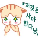 카페(cafe)봄봄 이미지