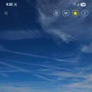 아름다운 구속 이미지