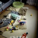 삼화4길 6-1 이미지