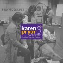 프랑소와펫 아카데미 이미지