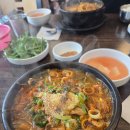 지랄돼지 | 구내염과 함께한 제주 여행 후기 ('26.06.26~28) (2)