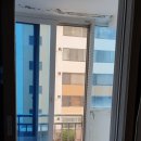 상일바이오 이미지