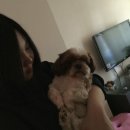 뭉 - 서구 | 뭉