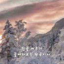 일진운수 이미지