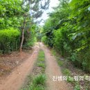 신왕제 이미지