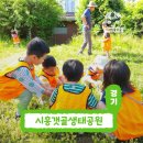 초록마을시흥 - 시흥시 황고개로 530 | 초록마을시흥