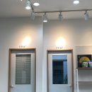 유림동물안과병원 네이버블로그
