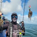 쭈꾸미스타 이미지