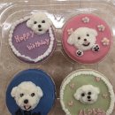 09-2  반려동물 수제간식 취.창업과정 | 펫케이크 창업 준비 A to Z｜반려동물 디저트 시장 트렌드와 교육 과정 한눈에